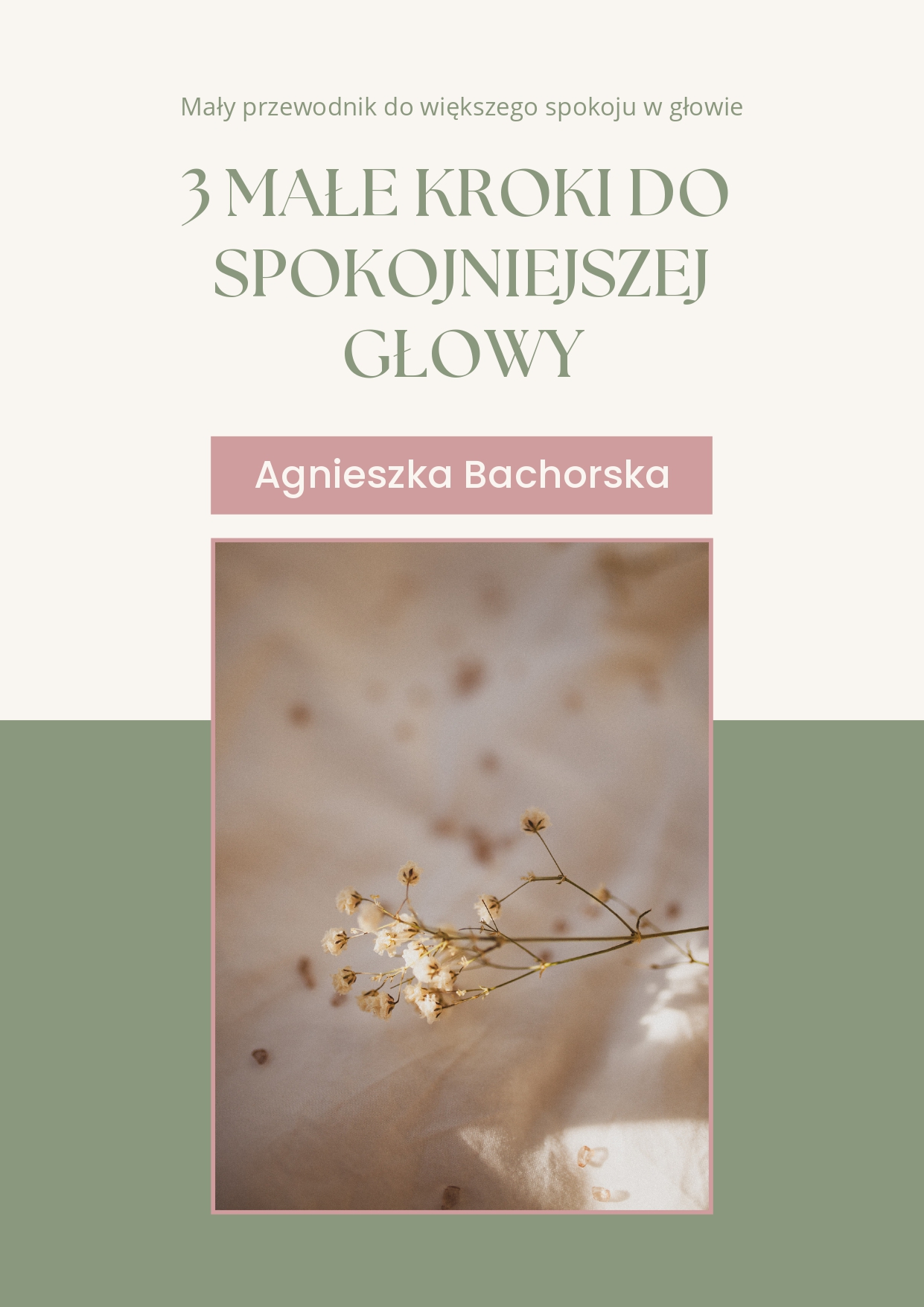 Podgląd Poradnika PDF